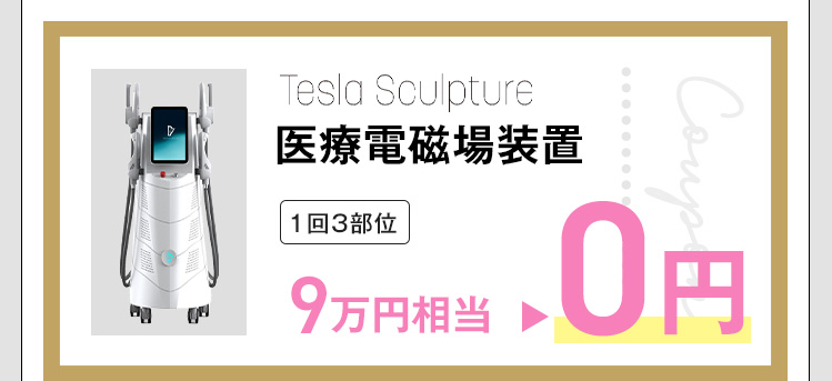 Tesla Sculpture 医療電磁場装置 1回3部位 9万相当0円