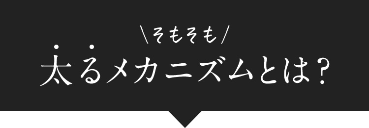 そもそも 太るメカニズムとは？